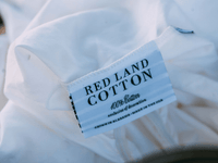 Single Fitted Sheet