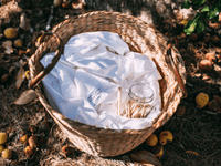 Single Fitted Sheet