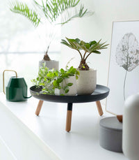 Countertop Pedestal Tray (5" H)  - Steel + Wood