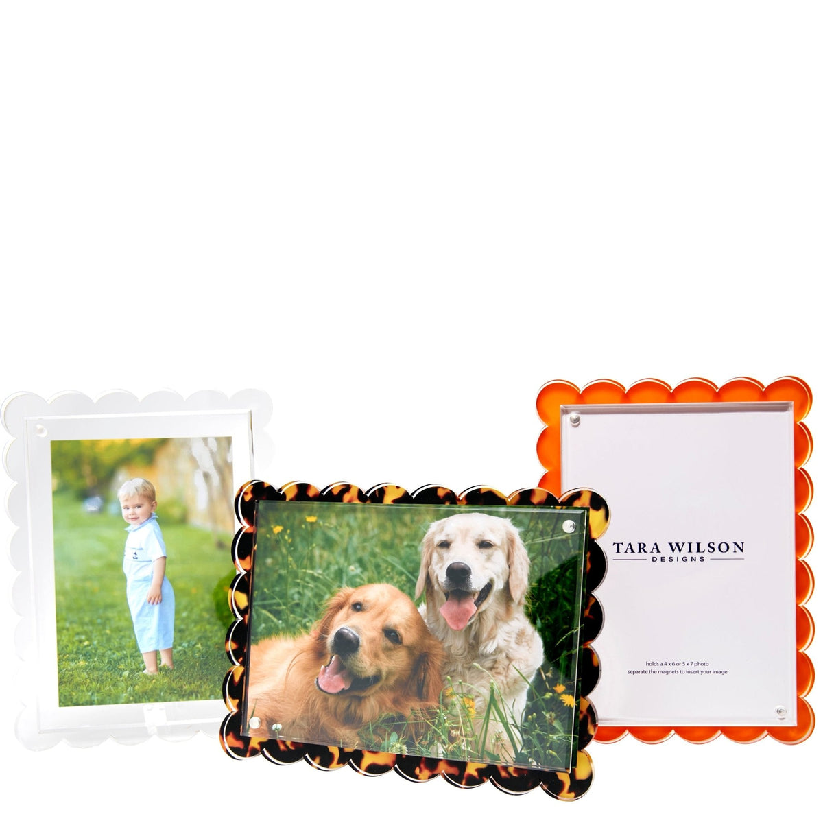 Orange Acrylic Scallop Frame