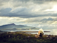 Ridiculously Good-Looking Saunas
