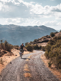Grand Bikepacking Journeys
