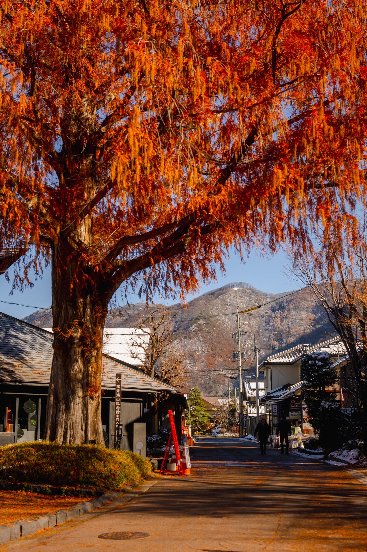 Another Japan
