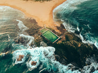 The Nature of Swimming (Updated Edition)