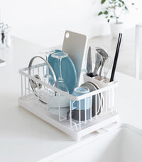 Wire Dish Rack - Steel