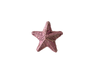 Estrella del Mar Pink Napkin Ring (Set of 4)