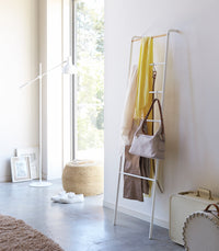 Leaning Storage Ladder (63" H)  - Steel