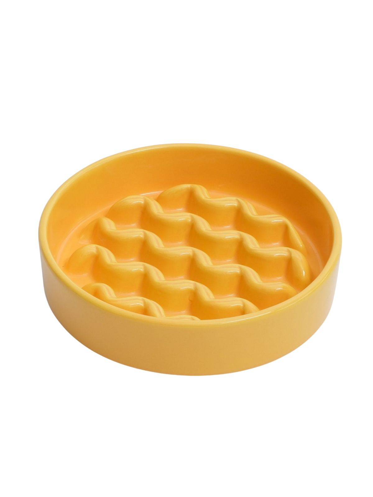 [Macaroni] Slow Feeder Dog Bowls - Yellow / Frozen Blue / Purple