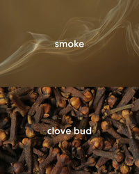 Burn Book