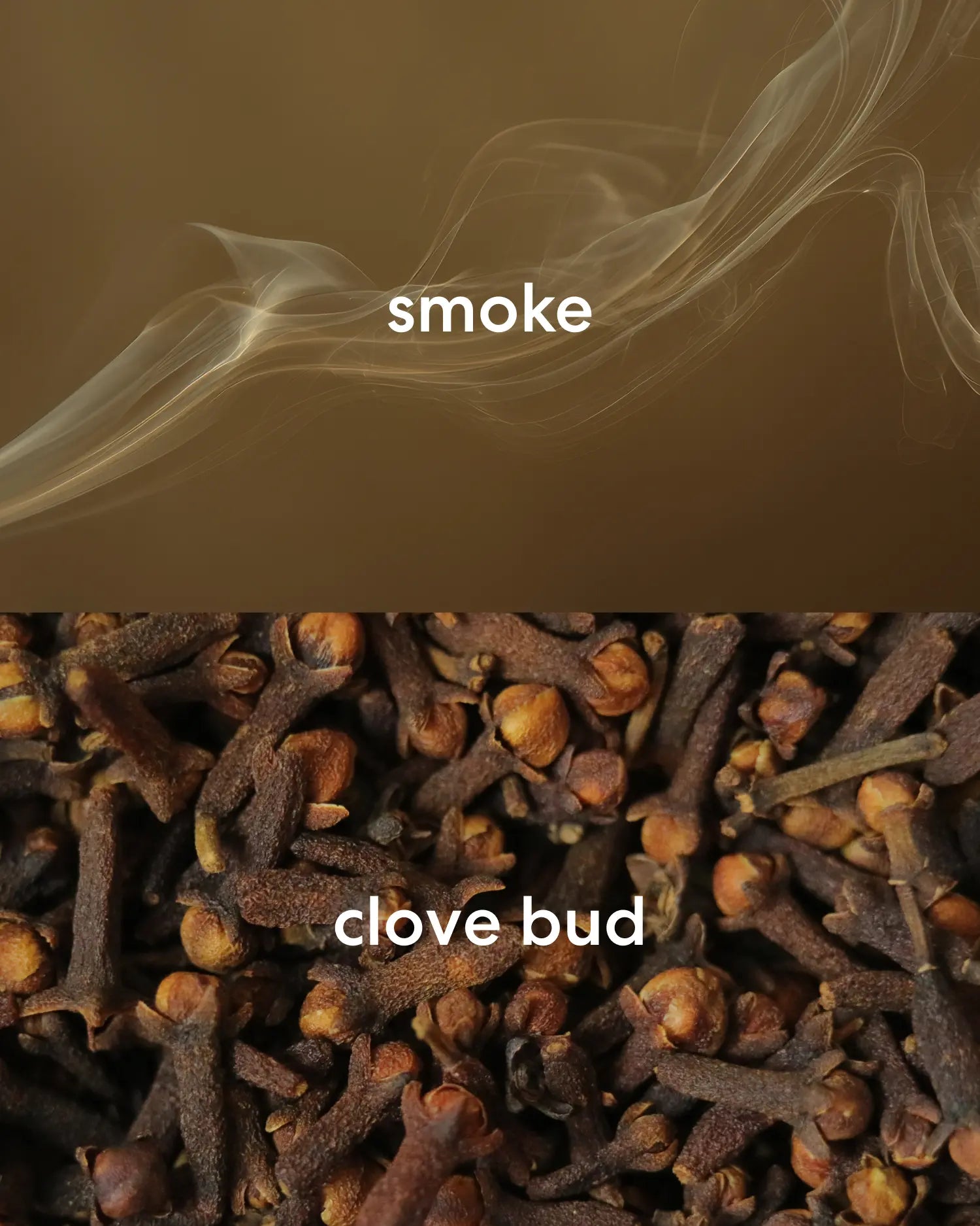 Burn Book