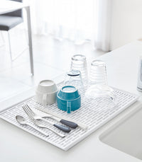 Dish Drainer Tray