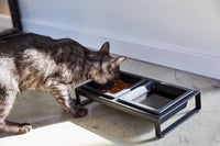 Pet Food Bowl - Steel + Ceramic