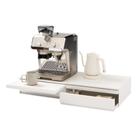 Countertop Drawer with Pull-Out Shelf - Wide - Steel