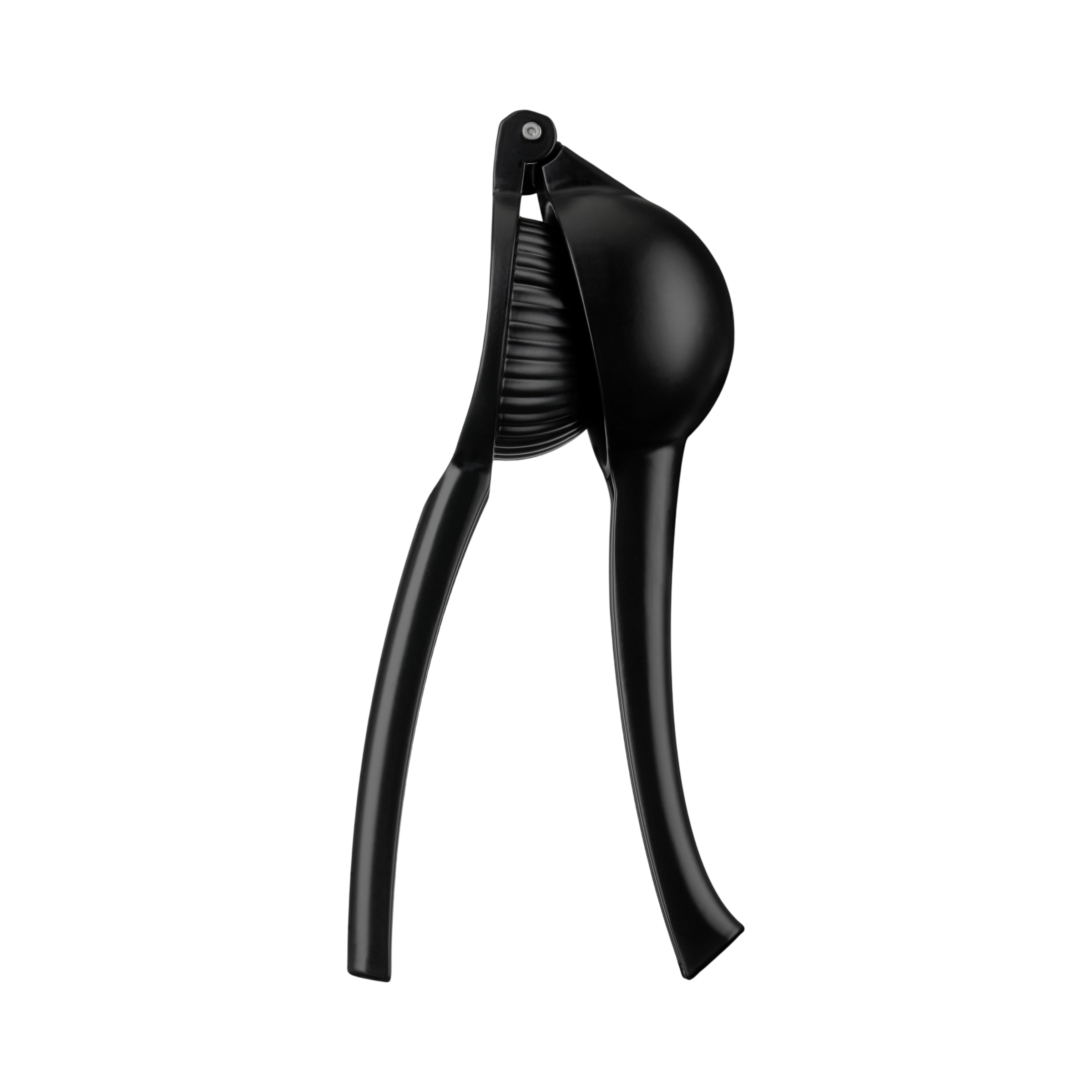Citrus Press in Black