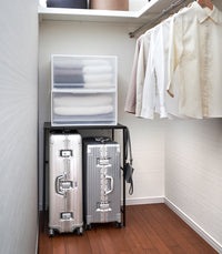 Expandable Suitcase Rack - Steel